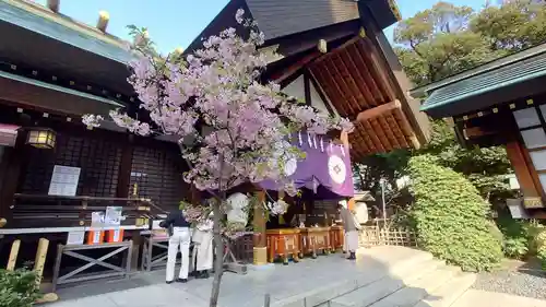 東京大神宮(東京都)