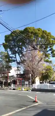 冠須賀神社（辻子）のその他建物