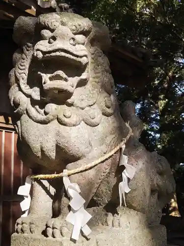 三輪神社の狛犬