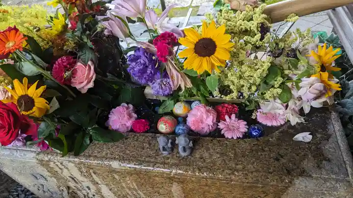 勝林寺(京都府)