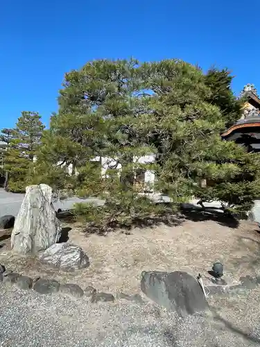 聖護院門跡の自然