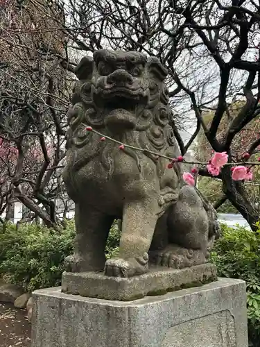 新井天神北野神社の狛犬