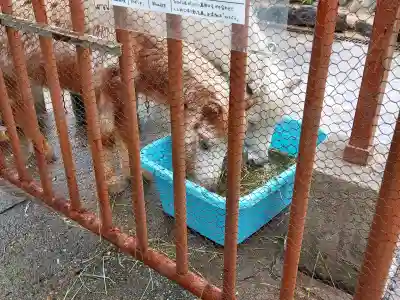 和歌山縣護國神社の{uncategorized: "未分類", other: "その他", undefined: "問題あり", building: "その他建物", grave: "お墓", sacred_gate: "鳥居", guardian: "狛犬", statue: "像", buddha: "仏像", history: "歴史", nature: "自然", garden: "庭園", animal: "動物", pagoda: "塔", temizu: "手水舎", mountain_gate: "山門・神門", sanctuary: "本殿・本堂", subordinate: "末社・摂社", art: "芸術", scenery: "景色", jizo: "地蔵", ema: "絵馬", goshuin: "御朱印", omikuji: "おみくじ", items: "授与品その他", amulet: "お守り", goshuincho: "御朱印帳", eats: "食事", festival: "お祭り", votive_dance: "神楽", shichigosan: "七五三参", wedding: "結婚式", experience: "体験その他", initially: "初詣", around: "周辺", anti_infection: "感染症対策"}
