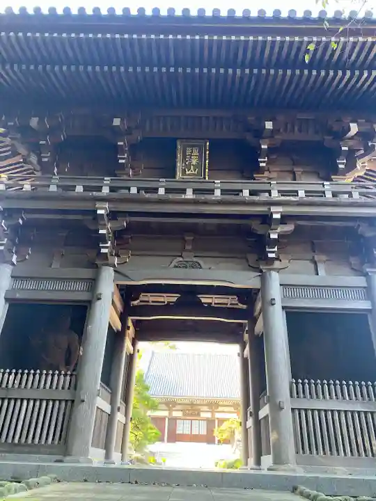 寳光寺 鹿野大佛(東京都)