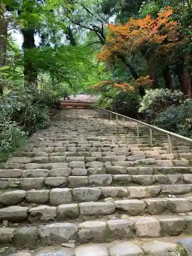 室生寺の{uncategorized: "未分類", other: "その他", undefined: "問題あり", building: "その他建物", grave: "お墓", sacred_gate: "鳥居", guardian: "狛犬", statue: "像", buddha: "仏像", history: "歴史", nature: "自然", garden: "庭園", animal: "動物", pagoda: "塔", temizu: "手水舎", mountain_gate: "山門・神門", sanctuary: "本殿・本堂", subordinate: "末社・摂社", art: "芸術", scenery: "景色", jizo: "地蔵", ema: "絵馬", goshuin: "御朱印", omikuji: "おみくじ", items: "授与品その他", amulet: "お守り", goshuincho: "御朱印帳", eats: "食事", festival: "お祭り", votive_dance: "神楽", shichigosan: "七五三参", wedding: "結婚式", experience: "体験その他", initially: "初詣", around: "周辺", anti_infection: "感染症対策"}