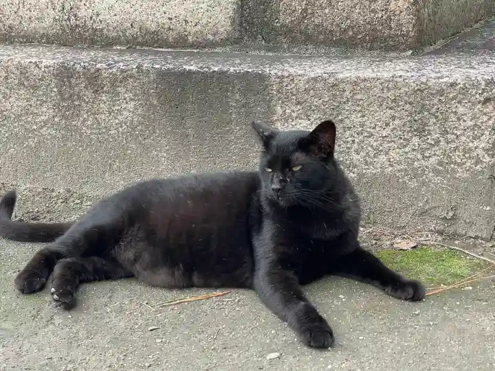 住吉大社の動物