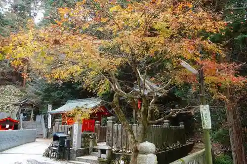 狸谷山不動院のその他建物