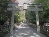 崇道神社の鳥居