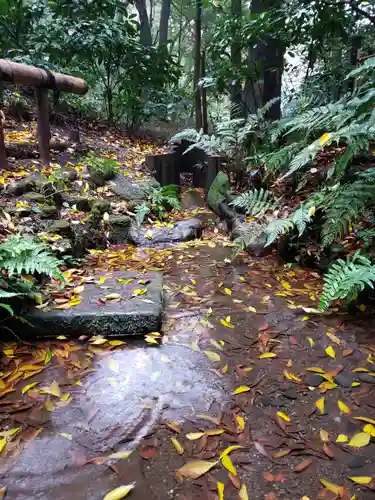 明治神宮(東京都)