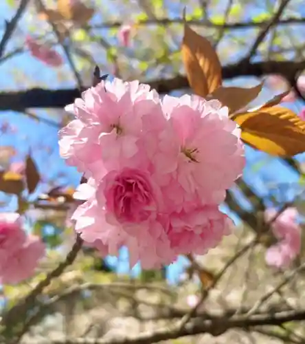 蚊里田八幡宮(長野県)