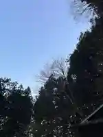 大宮温泉神社(栃木県)