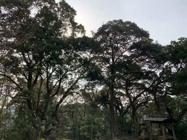 熊野神社の自然