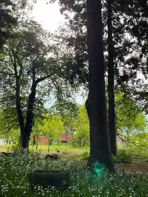 飯笠山神社(長野県)