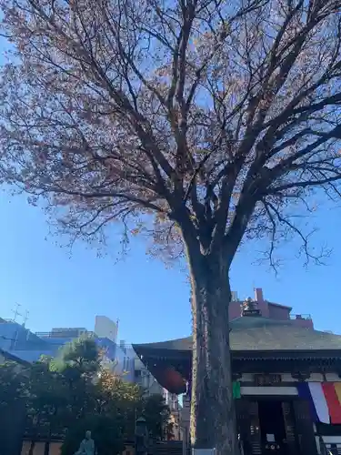 總持寺(東京都)