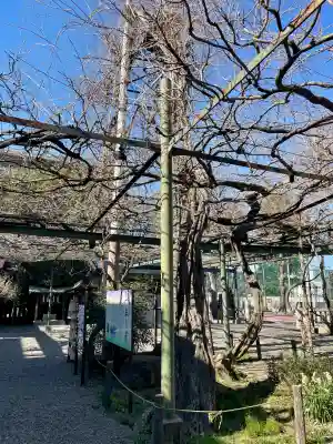 國領神社の{uncategorized: "未分類", other: "その他", undefined: "問題あり", building: "その他建物", grave: "お墓", sacred_gate: "鳥居", guardian: "狛犬", statue: "像", buddha: "仏像", history: "歴史", nature: "自然", garden: "庭園", animal: "動物", pagoda: "塔", temizu: "手水舎", mountain_gate: "山門・神門", sanctuary: "本殿・本堂", subordinate: "末社・摂社", art: "芸術", scenery: "景色", jizo: "地蔵", ema: "絵馬", goshuin: "御朱印", omikuji: "おみくじ", items: "授与品その他", amulet: "お守り", goshuincho: "御朱印帳", eats: "食事", festival: "お祭り", votive_dance: "神楽", shichigosan: "七五三参", wedding: "結婚式", experience: "体験その他", initially: "初詣", around: "周辺", anti_infection: "感染症対策"}