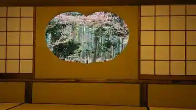 地蔵院(京都府)