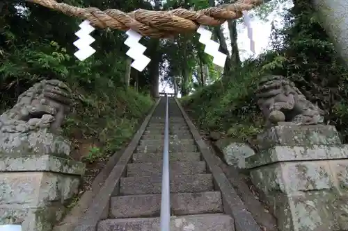 阿久津「田村神社」（郡山市阿久津町）旧社名：伊豆箱根三嶋三社の狛犬