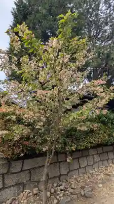 本法寺(京都府)