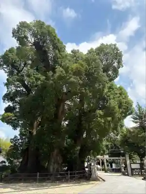 春日神社(福岡県)