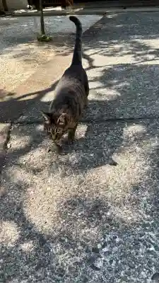 恵林寺(山梨県)