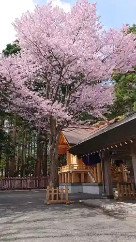 北海道神宮の自然