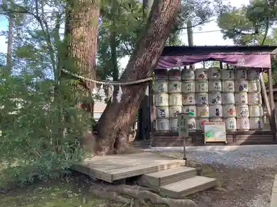 武蔵一宮氷川神社(埼玉県)