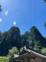 大宮温泉神社のその他建物
