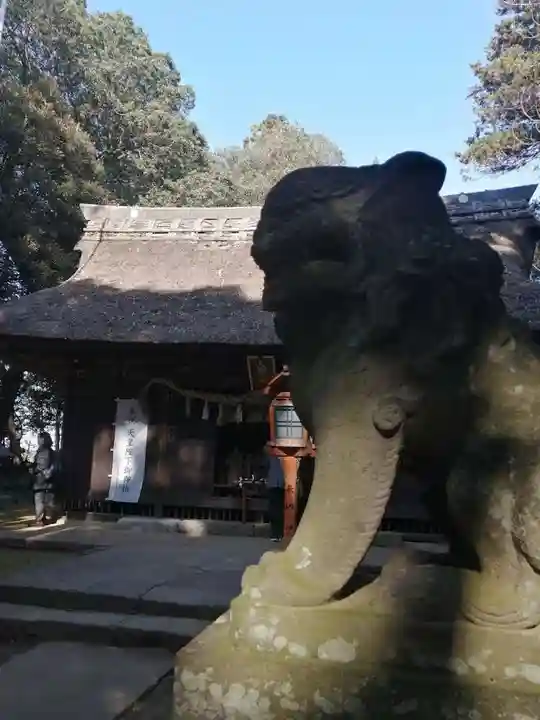國王神社の狛犬