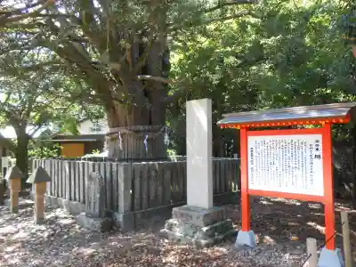 熊野速玉大社(和歌山県)