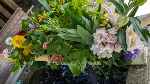 勝林寺(京都府)