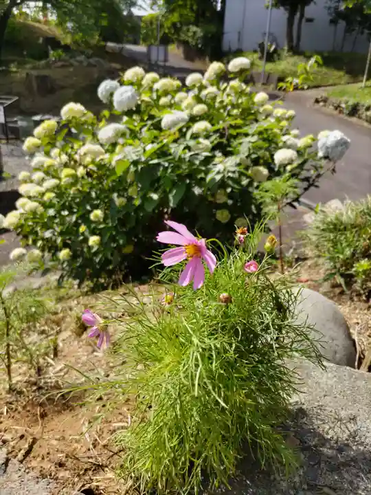 金乗院放光寺の庭園