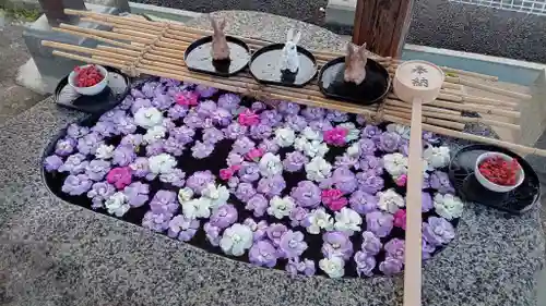 阿邪訶根神社の手水