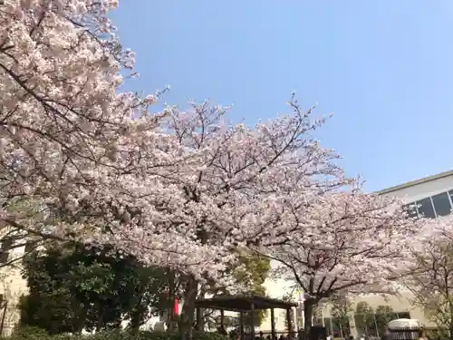 おりひめ神社の自然