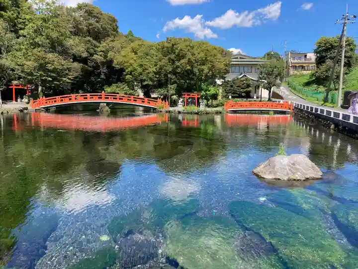 富士山本宮浅間大社(静岡県)