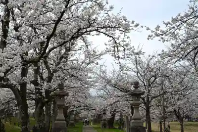 蒼柴神社(新潟県)