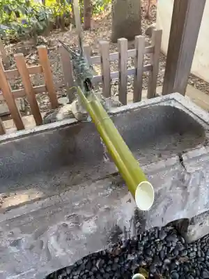 南沢氷川神社の{uncategorized: "未分類", other: "その他", undefined: "問題あり", building: "その他建物", grave: "お墓", sacred_gate: "鳥居", guardian: "狛犬", statue: "像", buddha: "仏像", history: "歴史", nature: "自然", garden: "庭園", animal: "動物", pagoda: "塔", temizu: "手水舎", mountain_gate: "山門・神門", sanctuary: "本殿・本堂", subordinate: "末社・摂社", art: "芸術", scenery: "景色", jizo: "地蔵", ema: "絵馬", goshuin: "御朱印", omikuji: "おみくじ", items: "授与品その他", amulet: "お守り", goshuincho: "御朱印帳", eats: "食事", festival: "お祭り", votive_dance: "神楽", shichigosan: "七五三参", wedding: "結婚式", experience: "体験その他", initially: "初詣", around: "周辺", anti_infection: "感染症対策"}