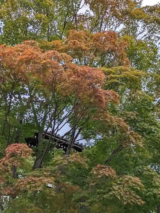 くろ谷 金戒光明寺(京都府)
