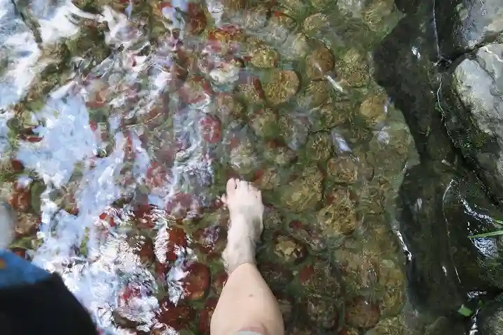 賀茂御祖神社(下鴨神社)(京都府)