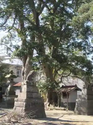 香取神社(埼玉県)