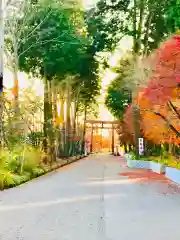 大前神社の建物その他