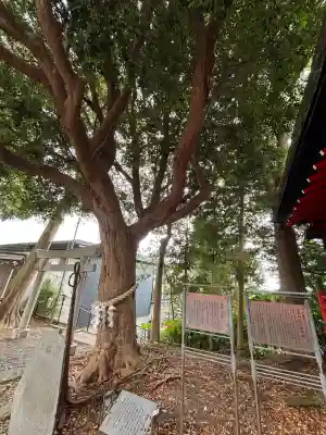 玉前神社の{uncategorized: "未分類", other: "その他", undefined: "問題あり", building: "その他建物", grave: "お墓", sacred_gate: "鳥居", guardian: "狛犬", statue: "像", buddha: "仏像", history: "歴史", nature: "自然", garden: "庭園", animal: "動物", pagoda: "塔", temizu: "手水舎", mountain_gate: "山門・神門", sanctuary: "本殿・本堂", subordinate: "末社・摂社", art: "芸術", scenery: "景色", jizo: "地蔵", ema: "絵馬", goshuin: "御朱印", omikuji: "おみくじ", items: "授与品その他", amulet: "お守り", goshuincho: "御朱印帳", eats: "食事", festival: "お祭り", votive_dance: "神楽", shichigosan: "七五三参", wedding: "結婚式", experience: "体験その他", initially: "初詣", around: "周辺", anti_infection: "感染症対策"}