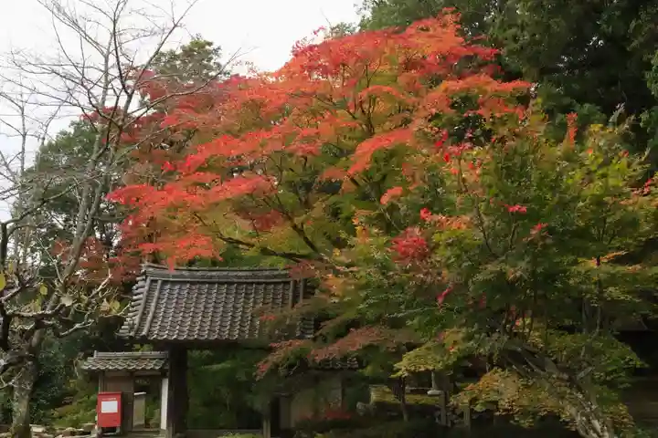 積善寺(京都府)