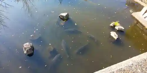 六孫王神社(京都府)