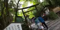 野宮神社の鳥居