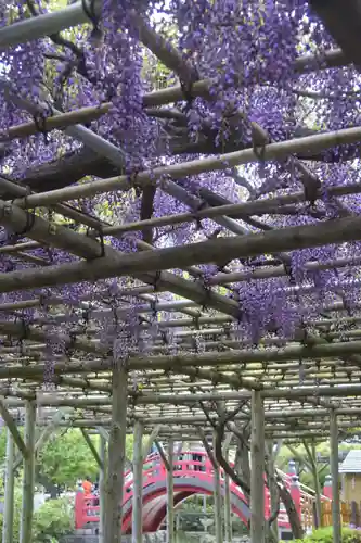 亀戸天神社(東京都)