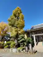 密蔵院のその他建物