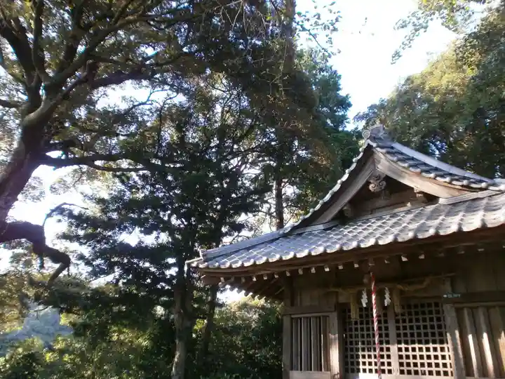 日吉神社の本殿・本堂