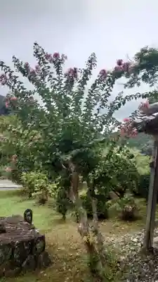 医王寺(愛知県)