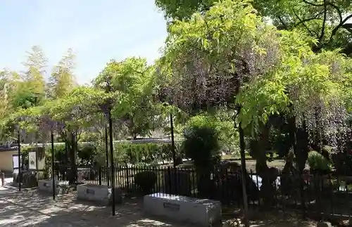 西大寺(奈良県)