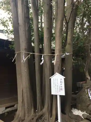 検見川神社の自然